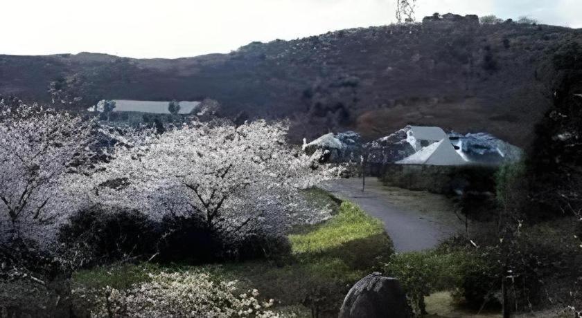 Izu Inatori Sports Villa Zewnętrze zdjęcie